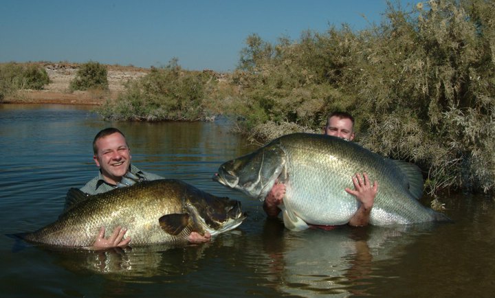 Gallery image for The African Angler